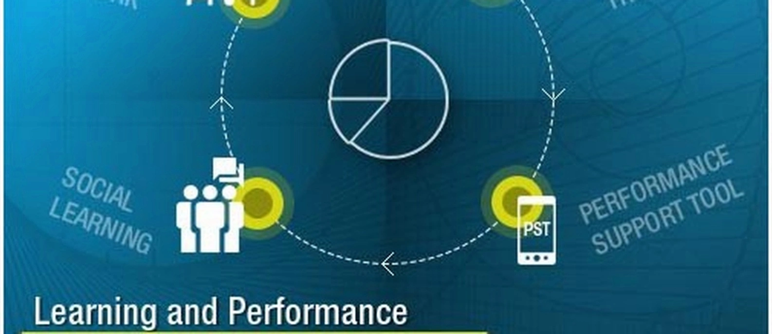 Professional business ecosystem coaching session