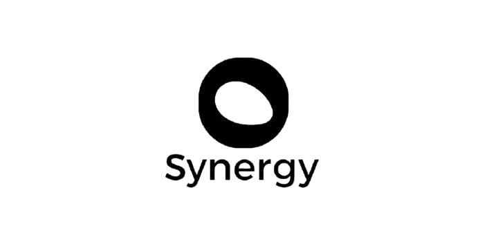 Synergy Business Coaching Logo